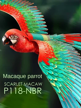 Macaw 3d 3d Dėlionę Modelis 