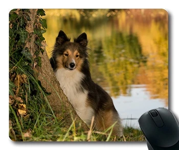 Custom Pelės Mygtukai Juokingas Šuo,Šuo Sheltie Medžio Tvenkinys, Arti,šunys, pelės kilimėlis